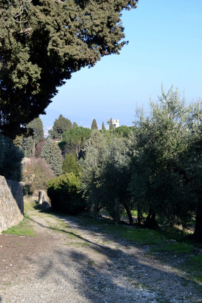 Tree-lined, dirt and gravel road with a bell tower in the distance.