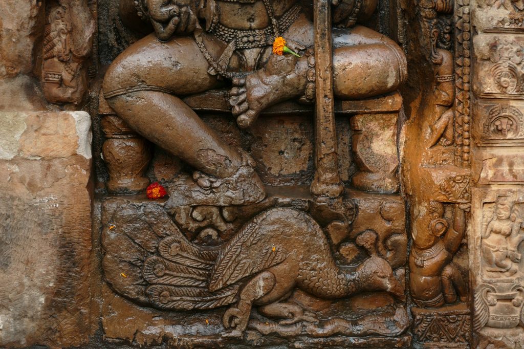 Seventh century relief with peacock and snake, vahana of Kartikkeya. Parasuramesvara, Bhubaneswar, Odisha.