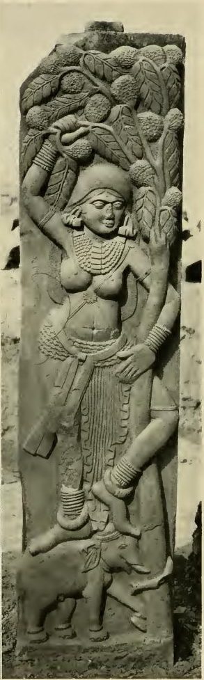 Stone relief of female nature spirit standing on an elephant vahana. The woman wraps an arm and a leg around a tree, as she holds a branch with one hand.